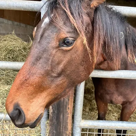 Le Loft By Le Petit Pressoir