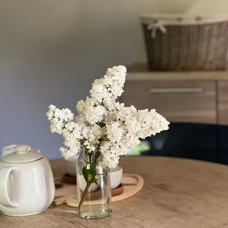 Le Petit Loft By Le Petit Pressoir Holiday home *