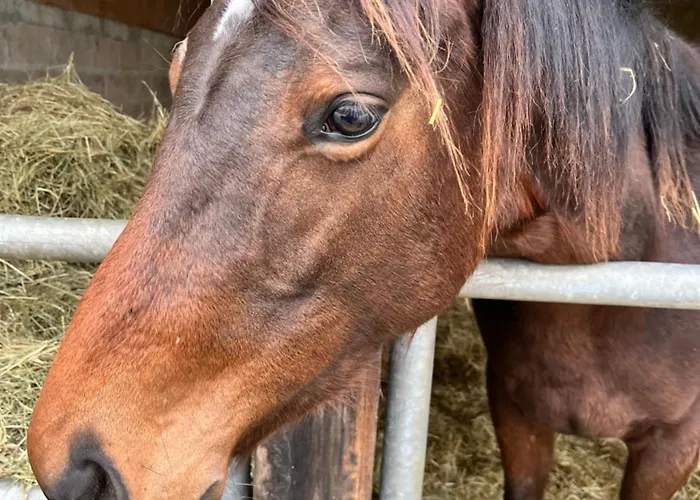 Le Loft By Le Petit Pressoir