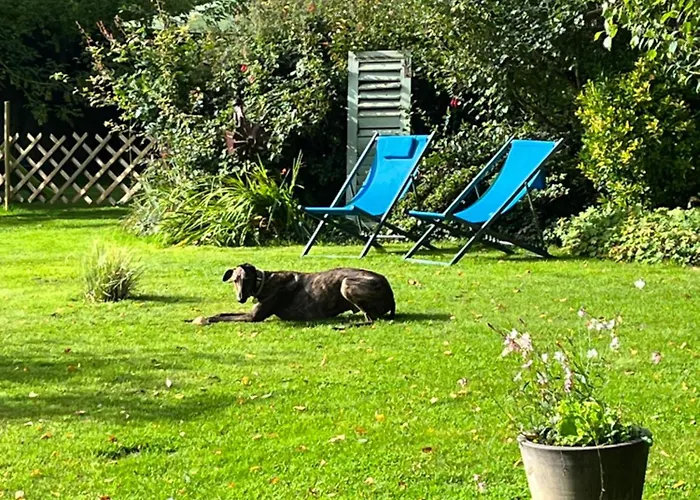 Le Loft By Le Petit Pressoir Saint-Gâtien-des-Bois