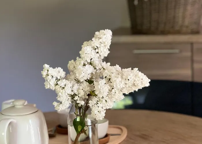 Le Loft By Le Petit Pressoir Feriehus *